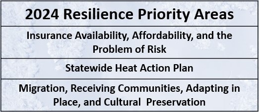 2024 resilience priority areas